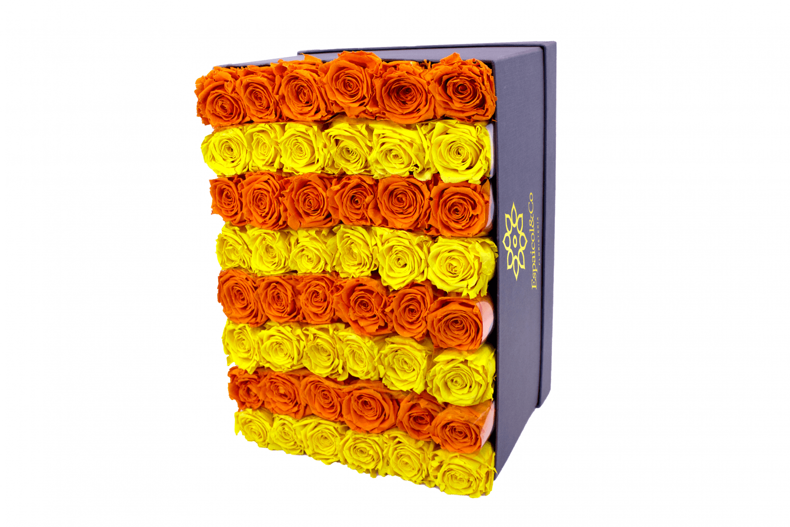descarga (5)