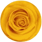 Amarillo cálido