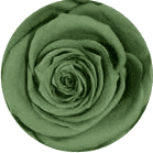Verde té