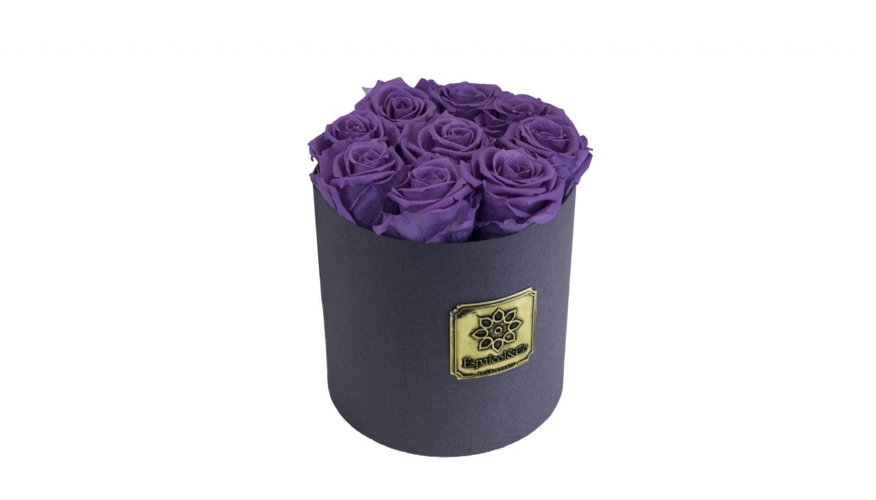 borneo morado lateral borneo morado lateral