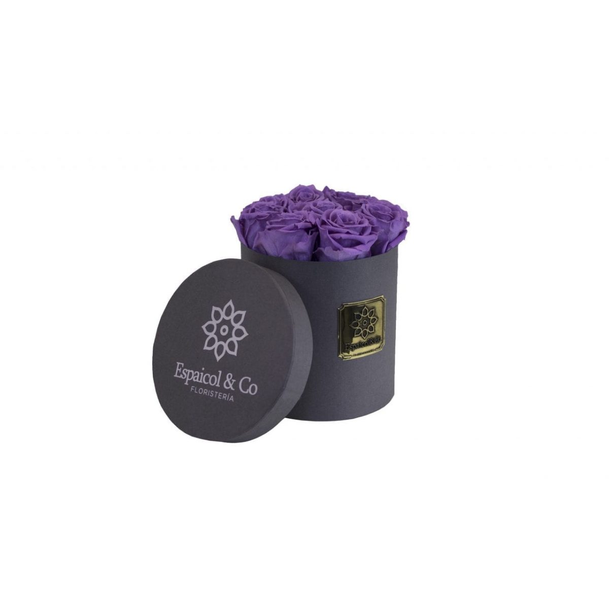 borneo morado tapa