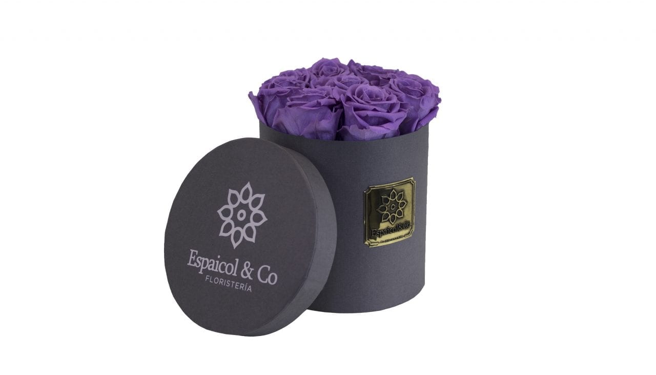 borneo morado tapa borneo morado tapa