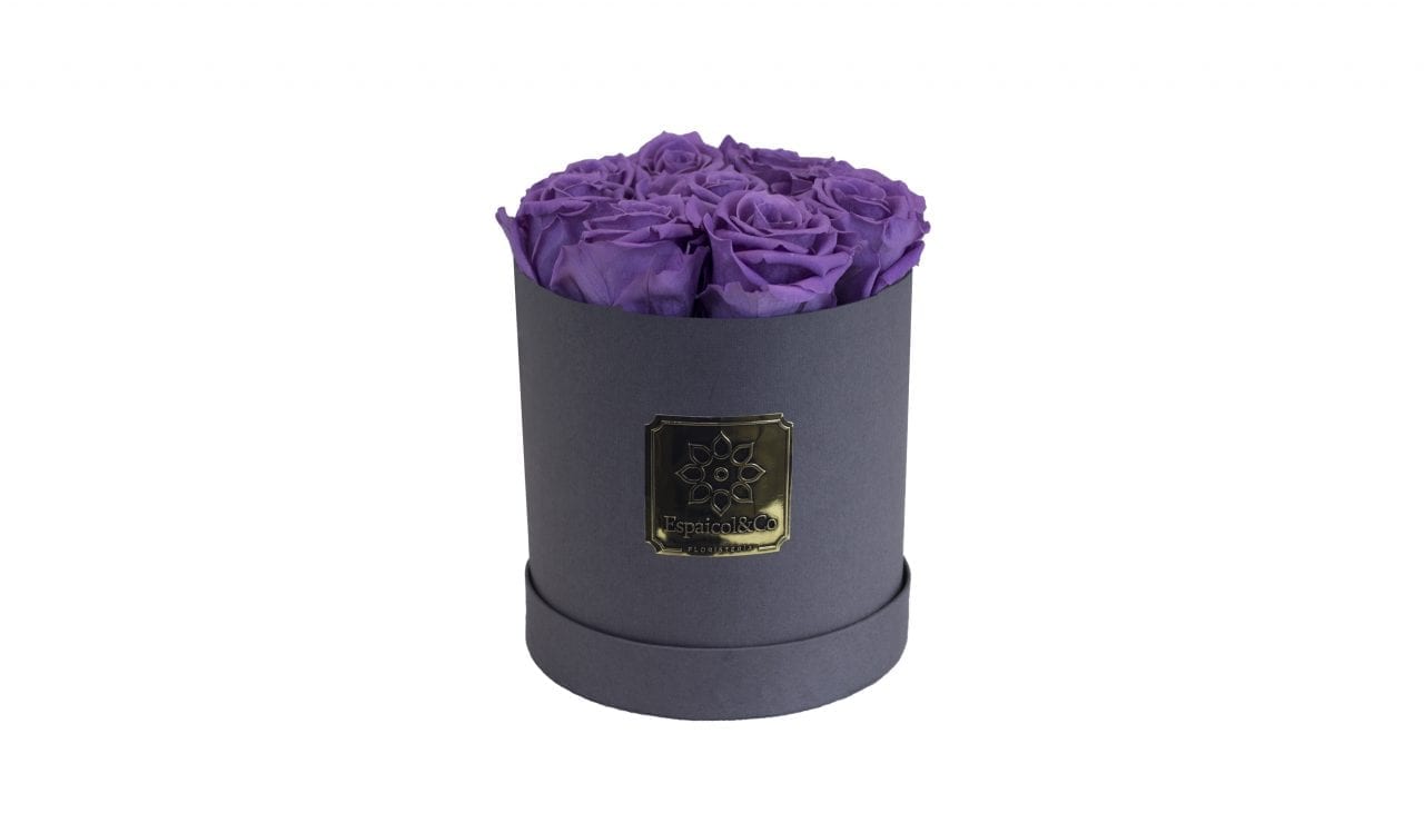borneo morado borneo morado